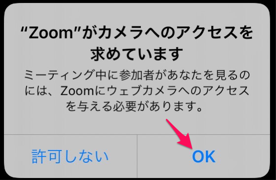 Zoom iPad 08