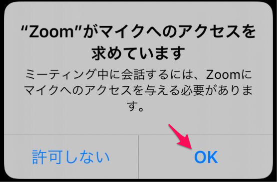 Zoom iPad 09