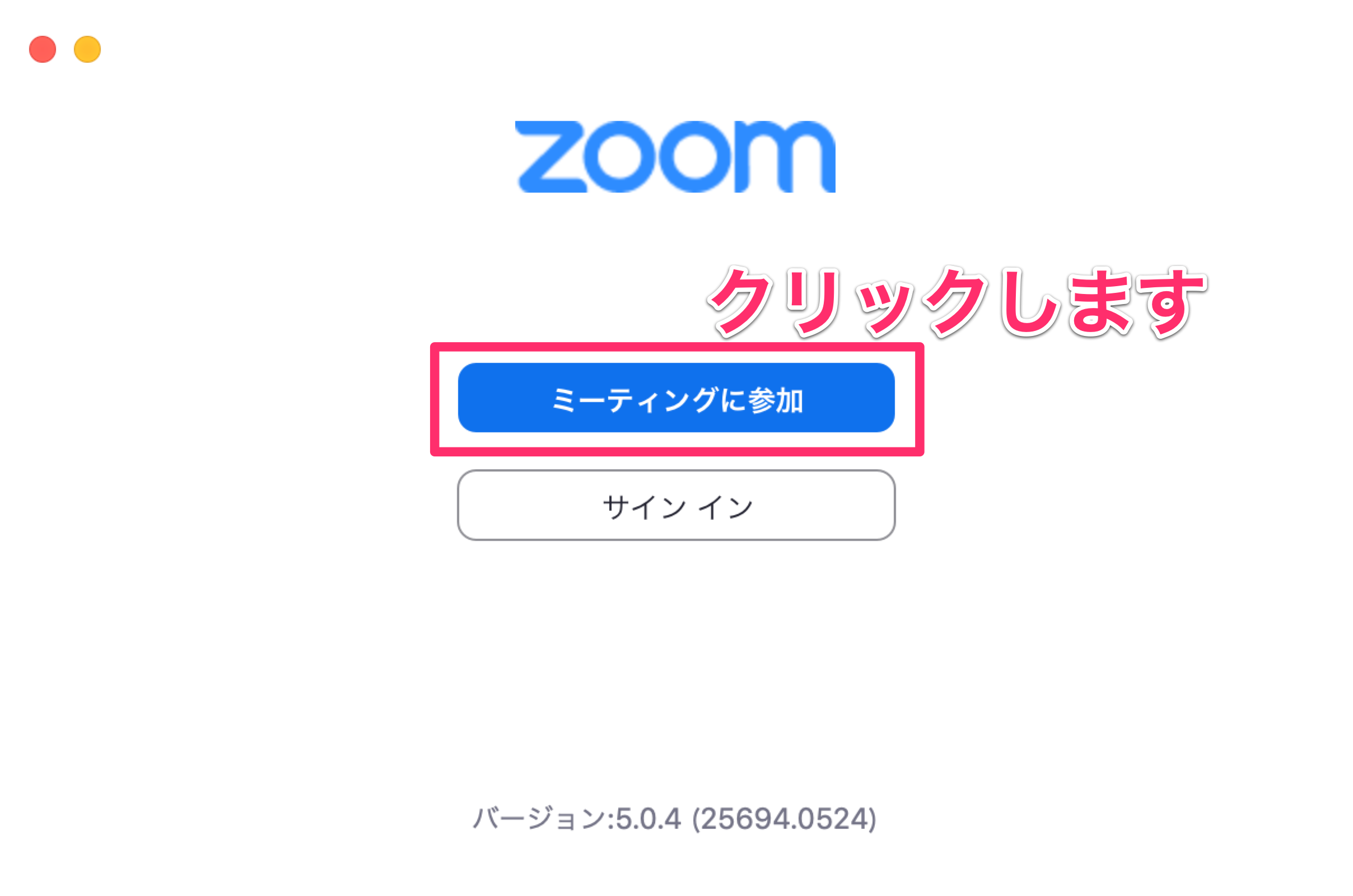 Zoom macOS 09