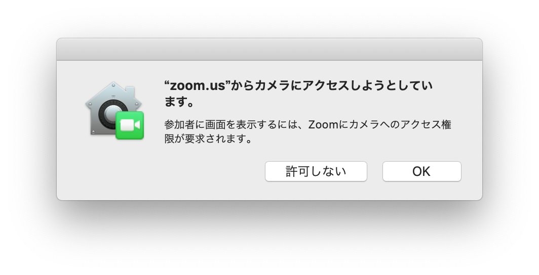 Zoom macOS 12
