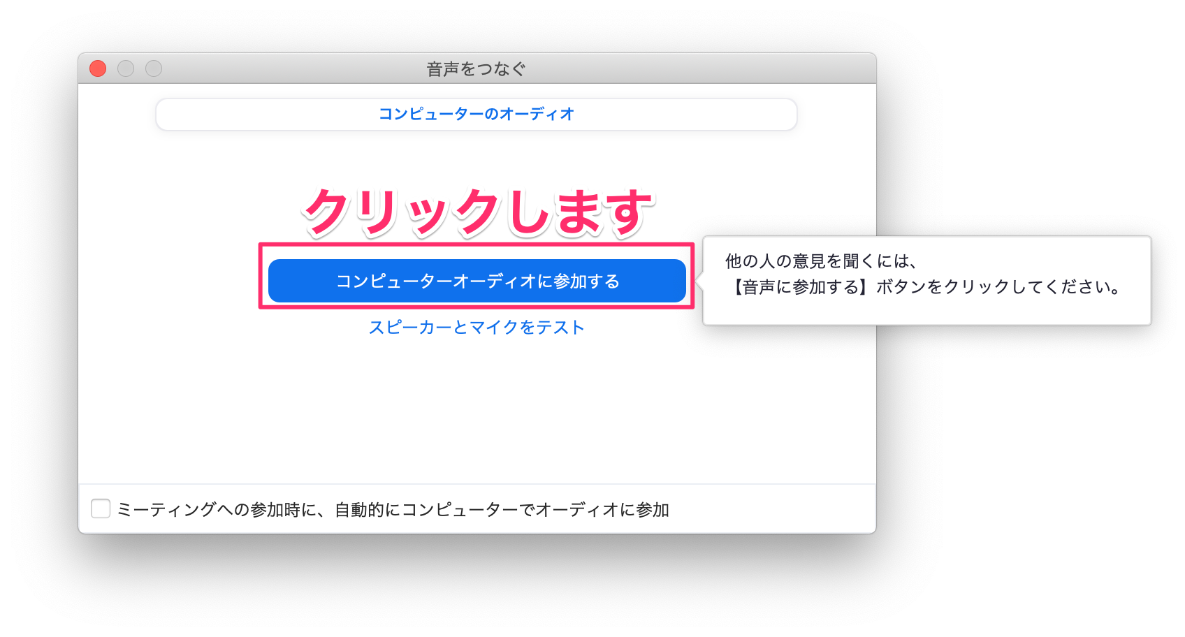 Zoom macOS 22
