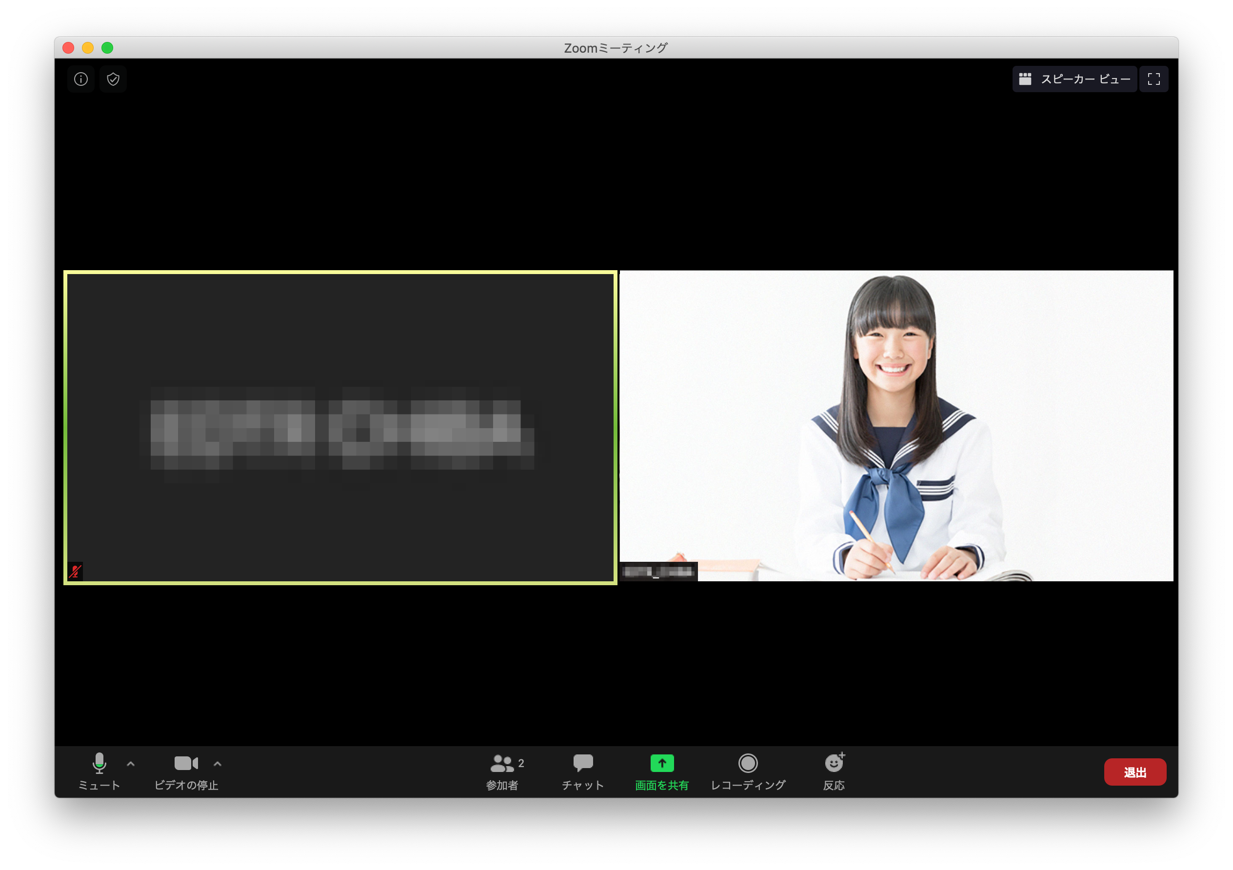 Zoom macOS 23